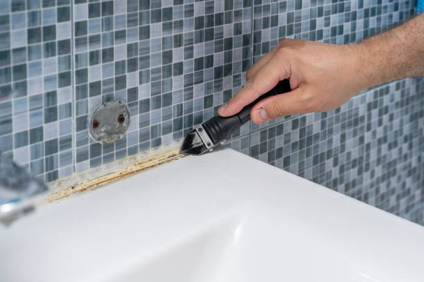 Best Home Mold Removal  in Frenchtown, MT