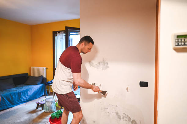 Best Professional Mold Removal  in Frenchtown, MT